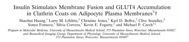 Insulin Stimulates Membrane Fusion and GLUT4 Accumulation in Clathrin Coats on Adipocyte Plasma Membranes
