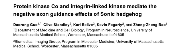 Protein kinase C α and integrin-linked kinase mediate the negative axon guidance effects of Sonic hedgehog